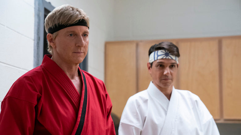 12 Shows Like Cobra Kai That You Should Check Out