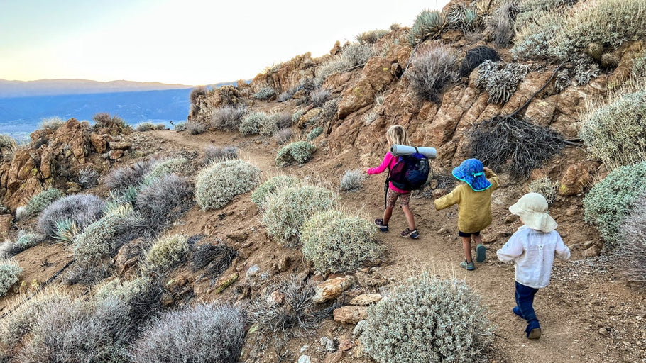 The Ethics of Thru-Hiking with Kids