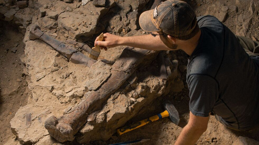 Dinosaur bones: Why Utah’s desert is a paleontologist’s playground